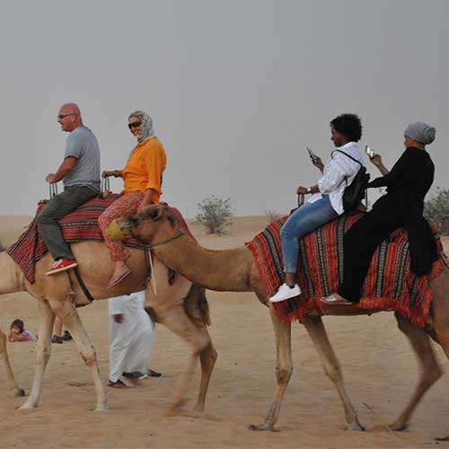 Camel Ride