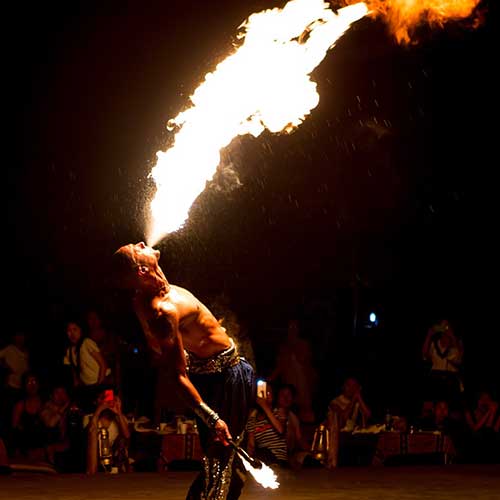 Fire Show