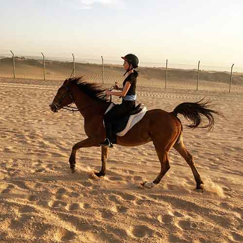 Horse Riding