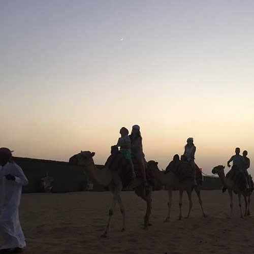 Camel Riding