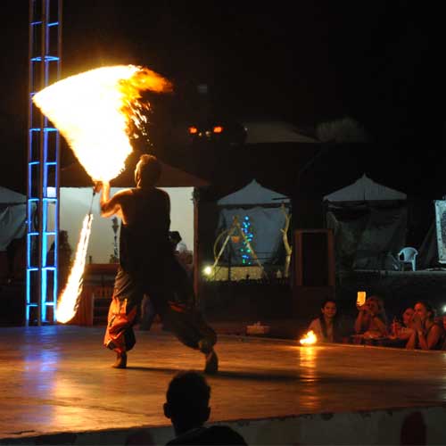 Fire Show