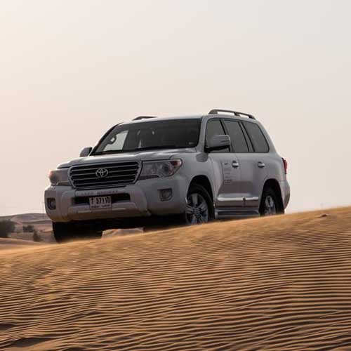 Land Cruiser In Desert